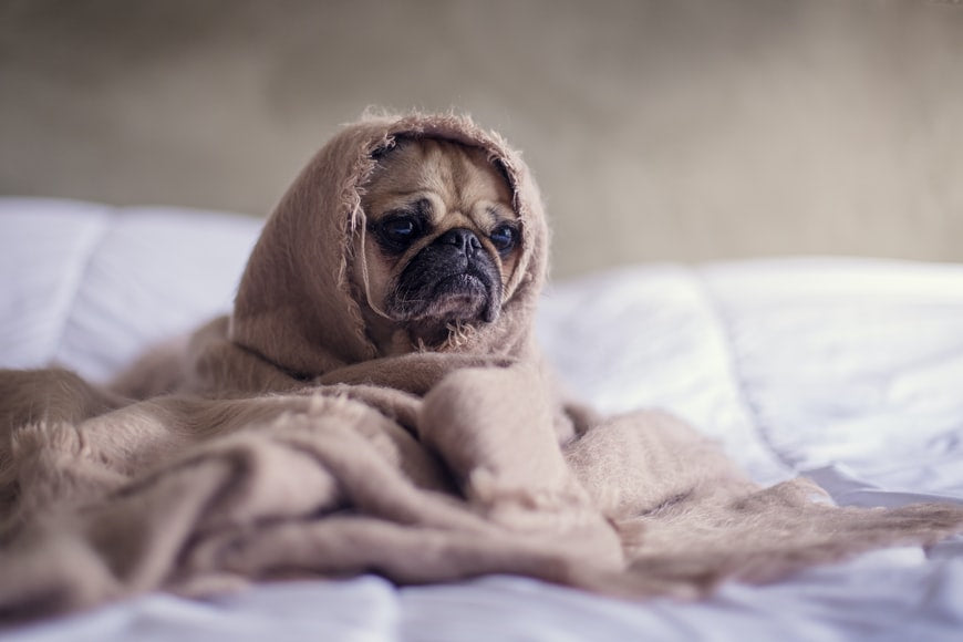Benefits of Sleep