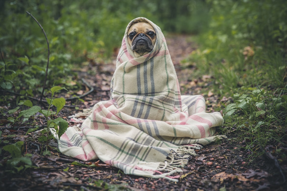 Keep Warm In Bed