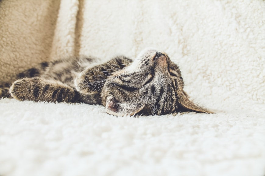 Buying a Mattress Online is a Great Idea