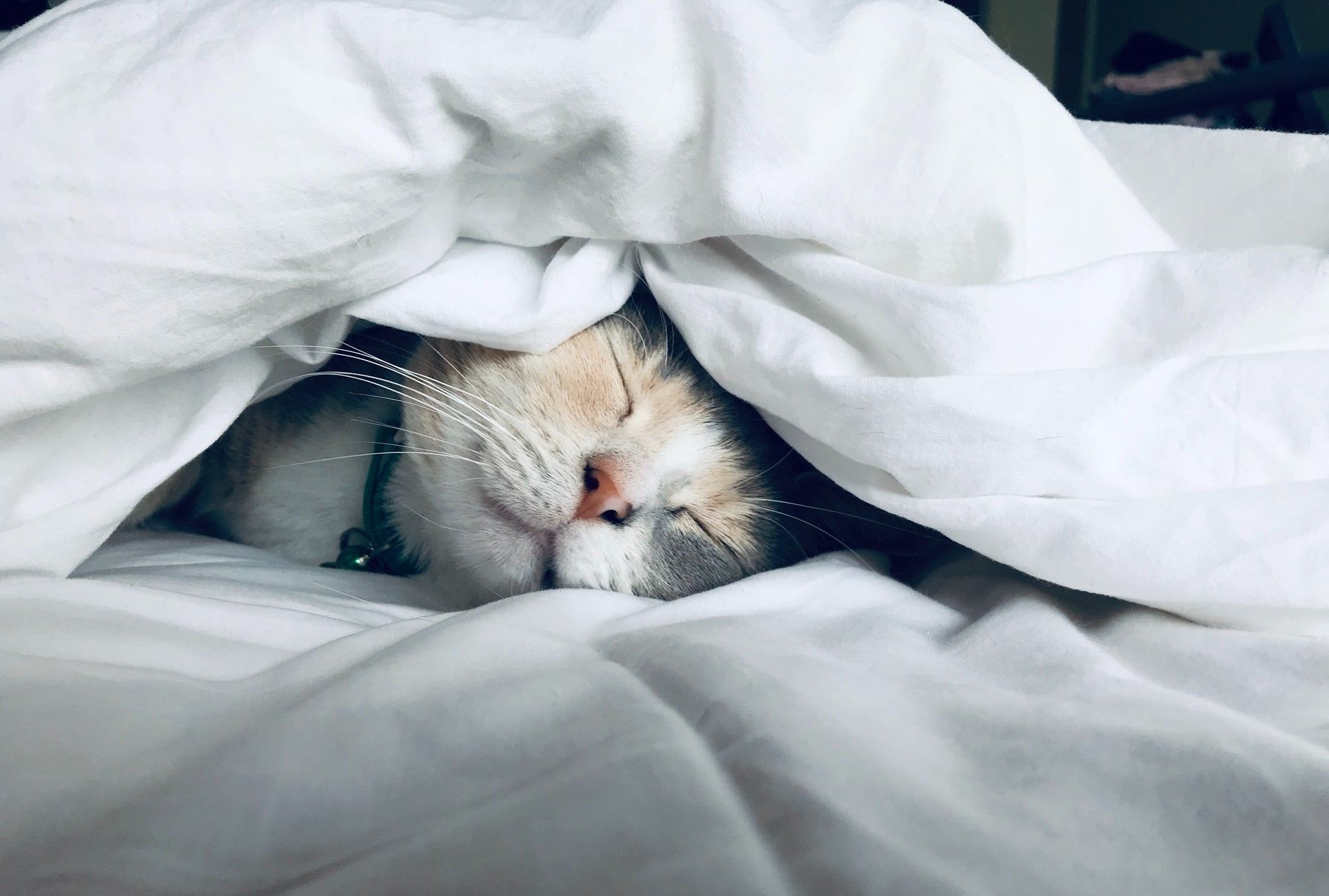 Keep Warm in Bed this Winter