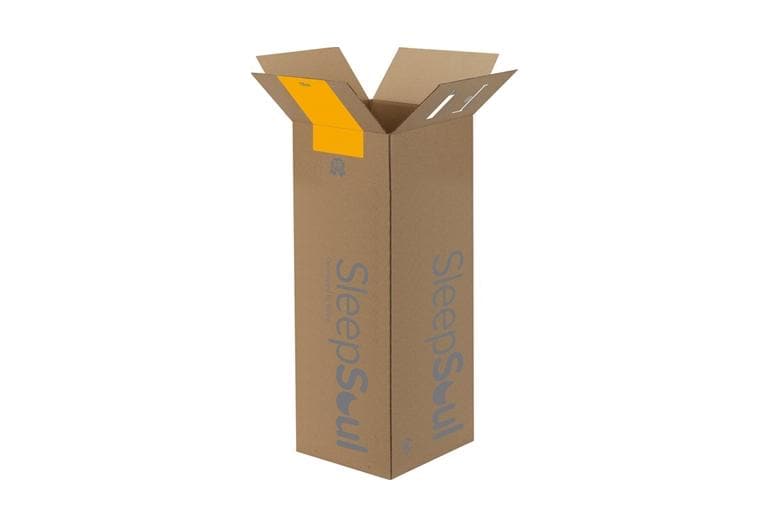 Love Sleep Memory 800 Pillow Top Mattress - Beds on Legs Ltd